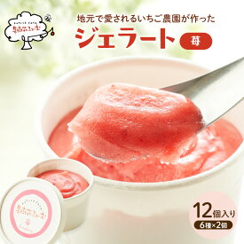 【ふるさと納税】ジェラート いちご 12個 アイス アイスクリーム スイーツ お菓子 菓子 おやつ ストロベリー イチゴ 苺 兵庫県 加西市