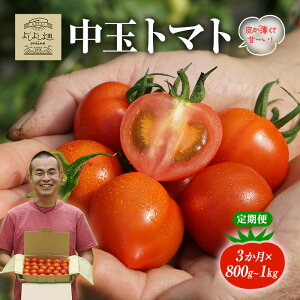 yӂ邳Ɣ[Łzy3A ͂z 悵悵̂܁` g}g ( ʃg}g ) 800g ` 1kg v3kg x VN Yn Ƃ܂ Еz    Mtg 񂹁@