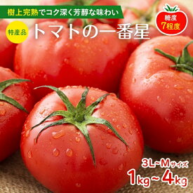 【ふるさと納税】トマト 1kg～4kg 選べる内容量 トマトの一番星 兵庫県産 野菜 とまと 加西とまと 完熟 高糖度 濃厚 甘い 賞 受賞 糖度 減農薬 夏野菜 あまい お取り寄せ 冷蔵配送　お届け：2026年2月下旬～2026年6月下旬