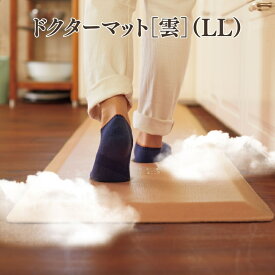 【ふるさと納税】特別寄附額 ドクターマット［雲］（LL） 改定前