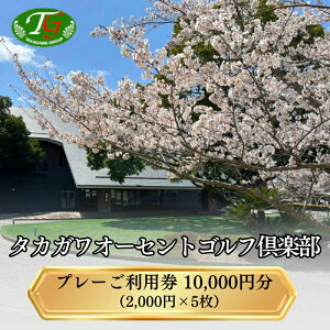 yӂ邳Ɣ[Łz^JKI[ZgSty St p 10,000~ (2,000~×5) Sp St v[ p  N[| Ɍ s