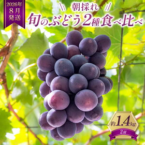 yӂ邳Ɣ[Łz8b̂{̂Ԃǂ 2 Hה׃Zbg 1.4kgi2[j Zbg lߍ킹 Yn t[c Ɍ s@͂F2026N8{`{