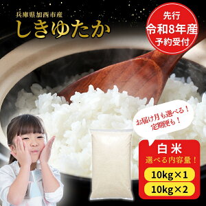 �y�ӂ邳�Ɣ[�Łz�� �y�ߘa8�N�x�Y ��s�\��z�����䂽�� ���� 10kg 20kg ����� �I�ׂ���e�ʁE���͂��� �G�R ���� ���� ���͂� ���� ���� ���ٓ� �ٓ� ���ɂ��� ���ƎҎx��