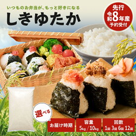 【ふるさと納税】米 令和8年産 先行受付 しきゆたか 白米 5kg 10kg 定期便 選べる内容量・お届け月 エコ おいしい お米 事業者支援 農業支援 精米 ごはん ご飯 白飯 単一原料米　お届け：2026年11月以降順次発送予定