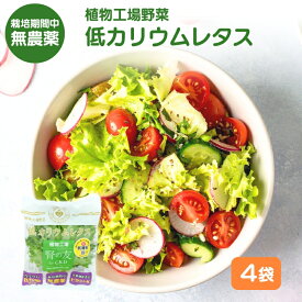 【ふるさと納税】レタス 低カリウムレタス 4個入り カリウム85%カット 洗わず食べられる ビタミンK 植物工場 兵庫県 加西市 リーフレタス 栽培期間中 無農薬