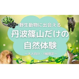 【ふるさと納税】【プライベートプログラム】野生動物に出会える 丹波篠山だけの自然体験
