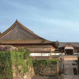 yӂ邳Ɣ[Łzy11gzR发@ݐ؂œal䐬̌^alVItAehŏ鉺𖞋i郉OWA[XeC [R鉺ze NIPPONIA XC[g[ yAh]