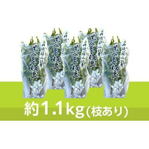 yӂ邳Ɣ[Łzy\tI2025N10{zߘa7NY Og}1.1kg×5(}) v~A} Ԍ } ܂ G_} 񂹃O  Yi Yi ܂