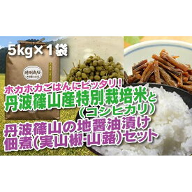 【ふるさと納税】丹波篠山の地醤油漬、佃煮セット　特別栽培米5kgと実山椒・山蕗