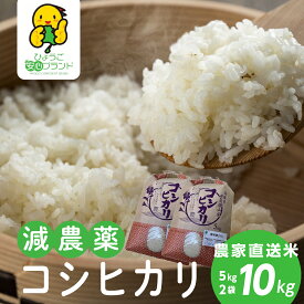 【ふるさと納税】令和7年産　大自然で育てた「コシヒカリ」10kg(5kg x 2) 兵庫県 丹波篠山市 白米 100％単一原料米 産地直送米 贈答 おいしい お米 精米 コシヒカリ ブランド おこめ 健康 ギフト 内祝い 贈り物 送料無料 おすすめ 人気 口コミ