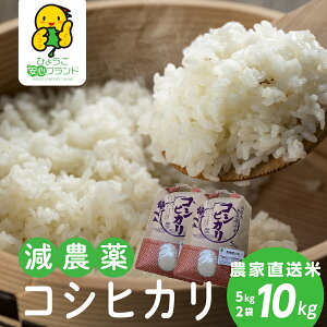 yӂ邳Ɣ[Łzߘa7NY@厩RňĂuRVqJv10kg(5kg x 2) Ɍ OgRs  100Pꌴ Yn     RVqJ uh  N Mtg