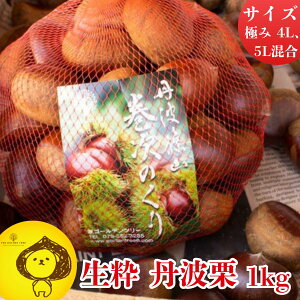 yӂ邳Ɣ[Łzy2025N10{蔭zOgI@̂ 1kg | Ɍ OgRs v~AI Ԍ 񂹃O  Yi Yi } ֐ {