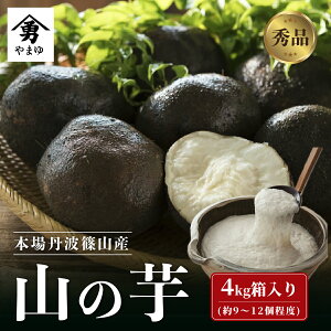 yӂ邳Ɣ[Łzߘa7NY OgRY R̈ Gi 4kg Ɍ OgRs ܂̂ ˂΂˂ Y  S H@ N