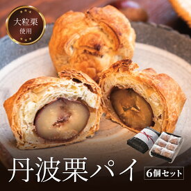 【ふるさと納税】丹波栗 パイ 6個セット 兵庫県 丹波篠山市 お菓子 おかし スイーツ お取り寄せ お取り寄せスイーツ お土産 洋菓子 食品 食べ物 ギフト プレゼント 贈り物