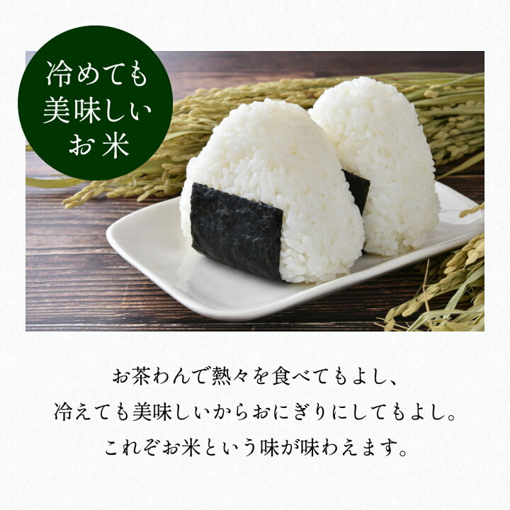 楽天市場】【ふるさと納税】【令和7年産】丹波篠山産コシヒカリ 玄米 