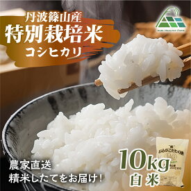 【ふるさと納税】【令和7年産】丹波篠山産特別栽培コシヒカリ 白米 10kg 兵庫県 丹波篠山市 白米 100％単一原料米 産地直送米 おいしい お米 精米 コシヒカリ ブランド おこめ 健康 送料無料 おすすめ 人気 口コミ