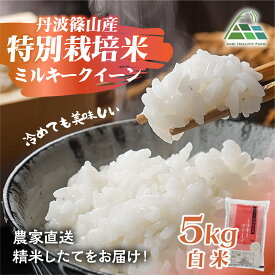 【ふるさと納税】【令和7年産 2025年9月以降順次発送】　丹波篠山産特別栽培ミルキークイーン 白米 5kg 兵庫県 丹波篠山市 白米 100％単一原料米 産地直送米 贈答 おいしい お米 精米 ブランド おこめ 健康 ギフト 内祝い 贈り物 送料無料 おすすめ 人気 口コミ