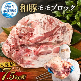 【ふるさと納税】〈大容量7.5kg超 豚肉〉訳あり 和豚【モモ ブロック肉】ブランド豚〈長期肥育〉独自飼料配合の極上豚肉！業務用サイズ〈スピード発送〉 モモ肉 もも肉 チャーシュー 豚角煮 プルドポーク 豚肉 ぶた ブタ 和豚 豚肉 ポーク 司フーズ 丹波篠山市