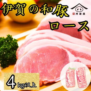 yӂ邳Ɣ[Łzɉ̘a [XubN 4kg  | Ɍ OgRs ؓ Y [X ubN Y X  n̓ ґ O   ubNȂ̂ 󂠂 