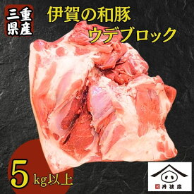 【ふるさと納税】三重県産 伊賀の和豚 ウデ ブロック 5kg超え! 冷蔵便 | 国産豚肉 兵庫県 丹波篠山市 煮込み料理 焼き物 炒め物 家庭料理 業務用料理 焼豚 チャーシュー 柔らかく ジューシー 大容量 豚腕 塊肉 豚うで 豚ウデ ブロック肉 切り落とし用 こま肉用