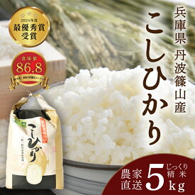 【ふるさと納税】令和7年産 お米 5kg コシヒカリ 丹波篠山産 じっくり精米 5kg | 兵庫県 丹波篠山市 丹波 白米 100％単一原料米 産地直送米 おいしい お米 精米 こしひかり ブランド おこめ 送料無料 おすすめ