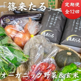 【ふるさと納税】【2025年10月以降順次スタート】「篠来たる」オーガニック野菜(7種ほど)と玄米2kgの定期便 ※3.4月農閑期のみ丹波篠山産の加工品 | 兵庫県 丹波篠山市 自然派 げんまい おいしい お米 コシヒカリ ブランド 健康 有機 人気 口コミ 関西 西日本