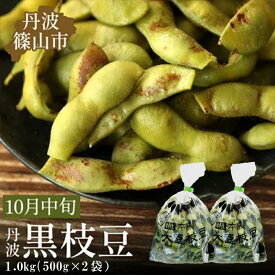 【ふるさと納税】【予約受付中！ 2026年10月中旬発送】令和8年産 丹波ふるさと村の丹波黒枝豆500g×2(枝なし) プレミアム枝豆 期間限定 黒枝豆 えだまめ エダマメ お取り寄せグルメ 高級 特産品 名産品 おつまみ おうち居酒屋