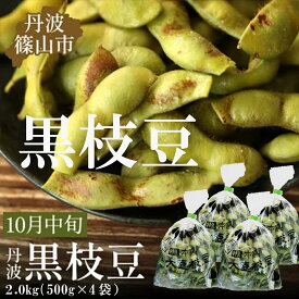 【ふるさと納税】【予約受付中！2026年10月中旬発送】令和8年産 丹波ふるさと村の丹波黒枝豆500g×4(枝なし) プレミアム枝豆 期間限定 黒枝豆 えだまめ エダマメ お取り寄せグルメ 高級 特産品 名産品 おつまみ おうち居酒屋