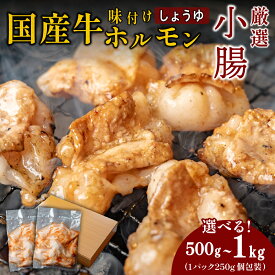 【ふるさと納税】ホルモン小腸セット 特製自家製しょうゆダレ漬け 小分け BBQ 焼肉 500g(250g×2袋)　or 1kg(250g×4袋) | 兵庫県 丹波篠山市 ホルモン しょうちょうセット 焼肉用 肉 ダレ付き 小分け 冷凍 大容量