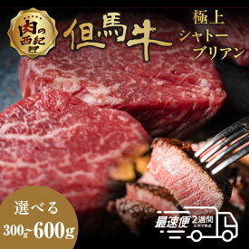【ふるさと納税】但馬牛 国産黒毛和牛 シャトーブリアン 150g×2個 300g・150g×4個 600g | 兵庫県 丹波篠山市 但馬牛 シャトーブリアン 300g(150g×2枚) 600g(150g×4枚） 高級和牛 シャトーブリアン ギフト 肉 小分け 冷凍 大容量
