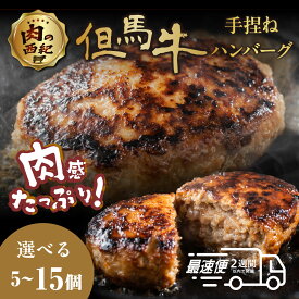 【ふるさと納税】ハンバーグ 但馬牛使用 国産 黒毛和牛合挽 自家製ハンバーグ デミグラスソース付き 小分け180g×(5個 10個 15個) 加熱前 生ハンバーグ | 合挽 180gの大判サイズ 個包装 惣菜 冷凍 肉 兵庫県 丹波篠山市