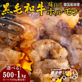 【ふるさと納税】黒毛和牛 タレ漬け ホルモン ミックス BBQ 焼肉 韓国味噌ダレ 250gx2・250gx4 | 兵庫県 丹波篠山市 タレ漬けホルモンミックス 韓国味噌ダレ 焼肉用 ホルモン 肉 小分け 冷凍 ギフト
