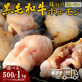 【ふるさと納税】黒毛和牛 タレ漬け ホルモン ミックス 塩レモン BBQ 焼肉 250gx2・250gx4 | 兵庫県 丹波篠山市 タレ漬けホルモンミックス 焼肉用 ホルモン 肉 小分け 冷凍 ギフト 大容量