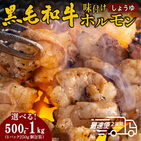 【ふるさと納税】黒毛和牛 タレ漬け ホルモン ミックスしょうゆ BBQ 焼肉 250gx2・250gx4 | 兵庫県 丹波篠山市 タレ漬けホルモンミックス しょうゆ 焼肉用 ホルモン 肉 小分け 冷凍 ギフト 大容量