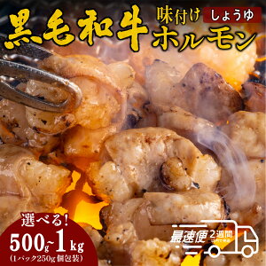yӂ邳Ɣ[ŁzYјa ^Ђz~bNX傤250gx2E250gx4 | Ɍ OgRs ^Ђz~bNX 傤 500g(250g×2)@1kg(250g×4) ēp z  