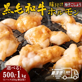 【ふるさと納税】黒毛和牛 タレ漬けホルモンミックス〈柚子胡椒味〉 BBQ 焼肉【小分け 500g or 1kg 】 | 兵庫県 丹波篠山市 国産黒毛和牛 タレ漬け 焼肉用 ホルモン 肉 小分け 冷凍 ギフト 大容量