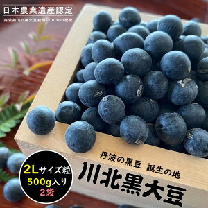 【ふるさと納税】【新物 令和7年産 令和7年12月中旬以降発送 】川北黒大豆 2Lサイズ粒 500g×2袋 兵庫県 丹波篠山市 乾物 黒豆 丹波黒 おせち用 煮豆 グルメ 高級 ブランド