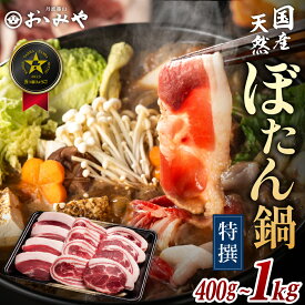 【ふるさと納税】〈スピード出荷〉天然猪肉 ぼたん鍋 〈特選セット〉400g~1kg 特製味噌ダレ付き | 猪肉 いのしし肉 しし肉 ぼたん鍋 牡丹鍋 猪鍋 しし鍋 ジビエ 丹波篠山 国産猪肉 天然猪肉 お歳暮 御歳暮 兵庫県 丹波篠山 お正月 お取り寄せ お鍋 団らん ギフト