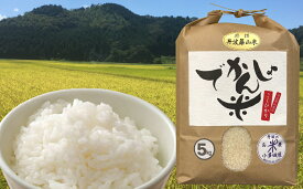【ふるさと納税】 【令和7年産】抜群の味と香り　丹波篠山産コシヒカリ5kg×1 実山椒醤油漬セット | 白米 100％単一原料米 産地直送米 おいしい お米 精米 コシヒカリ ブランド おこめ 健康 送料無料 おすすめ 人気 口コミ