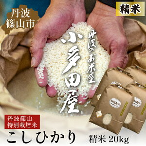【ふるさと納税】お米のおいしさ伝えたい!特別栽培米コシヒカリ5kg×4 | 白米 100%単一原料米 産地直送米 おいしい お米 精米 コシヒカリ ブランド おこめ 健康 送料無料 おすすめ 人気 口コ
