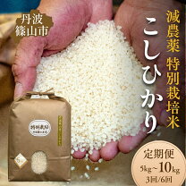 楽天市場】丹波篠山 コシヒカリ 30kgの通販