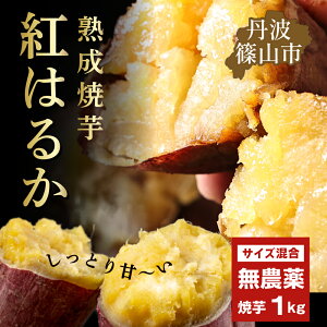 yӂ邳Ɣ[Łzys\zĂ@Ă@g͂邩 󂠂 KiO 500g×2 1kg | Ɍ OgRs ܂ Tc}C ܈ Â Ă Ĉ Ă   ˂