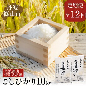 【ふるさと納税】【定期便】※令和7年 新米※特Aランク特別栽培米　コシヒカリ　10kg（全12回）総量120kg 兵庫県 丹波篠山市 白米 100％単一原料米 産地直送米 贈答 おいしい お米 精米 ブランド おこめ 健康 送料無料 おすすめ 人気 口コミ