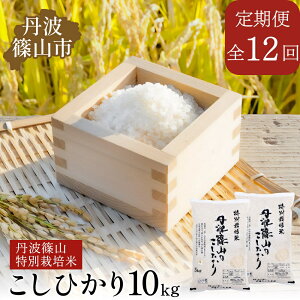 yӂ邳Ɣ[Łzyցzߘa7N VāANʍ͔|ā@RVqJ@10kgiS12j120kg Ɍ OgRs  100Pꌴ Yn     u