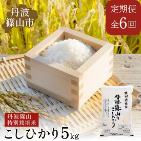 【ふるさと納税】【定期便】※令和7年　新米※特Aランク特別栽培米　コシヒカリ　5kg（全6回） 兵庫県 丹波篠山市 白米 100％単一原料米 産地直送米 贈答 おいしい お米 精米 ブランド おこめ 健康 送料無料 おすすめ 人気 口コミ