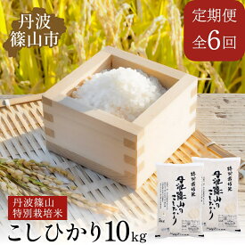 【ふるさと納税】【定期便】※令和7年 新米※特Aランク特別栽培米　コシヒカリ　10kg（全6回） 兵庫県 丹波篠山市 白米 100％単一原料米 産地直送米 贈答 おいしい お米 精米 ブランド おこめ 健康 送料無料 おすすめ 人気 口コミ