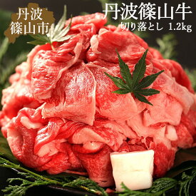 【ふるさと納税】丹波篠山牛 肉 牛肉 切り落とし 1.2kg ( 300g × 4パック )