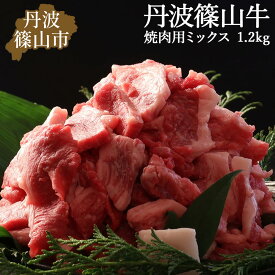 【ふるさと納税】訳あり 丹波篠山牛 肉 焼肉 1.2kg ( 600g × 2パック )