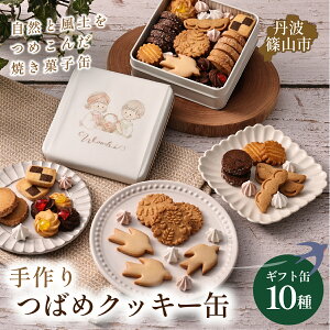【ふるさと納税】ツバメクッキー缶 10種の味わい | アイシングクッキー クッキーボックス 焼き菓子 焼菓子 洋菓子 スイーツ お菓子 おかし おやつ 人気 缶 アソート 詰め合わせ お取り寄せ