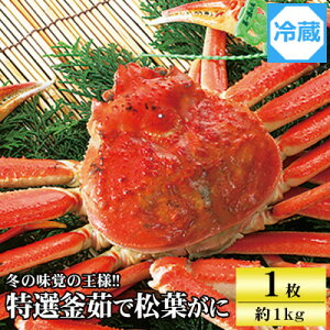 yӂ邳Ɣ[ŁzɌZY@I䥂ŏtKjy11{ȍ~zyzsnFzy1149881z
